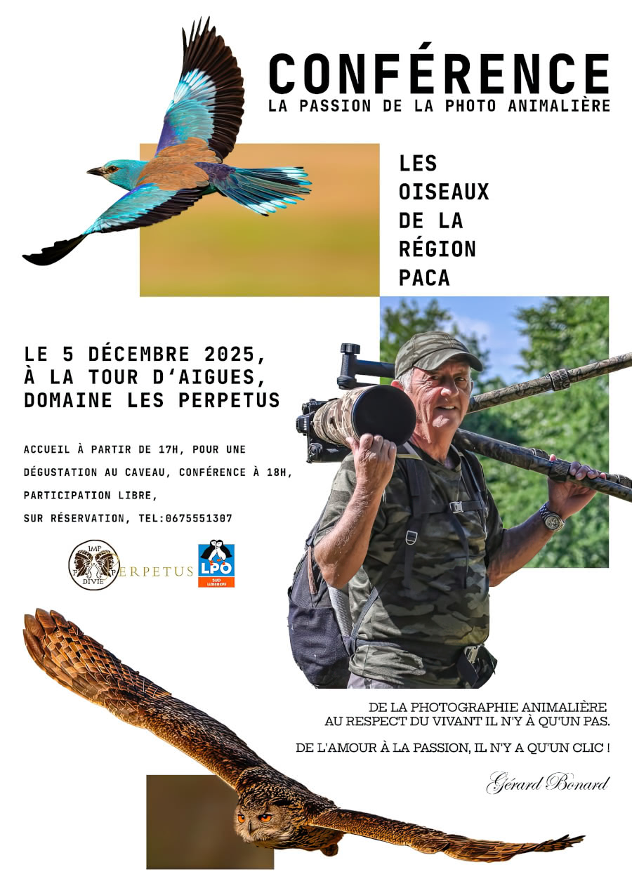 conference gerard bonnard.opti