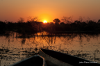 Dans le delta de l'Okavango