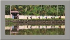 LM1003-12-2025 10-36-07 CETh810