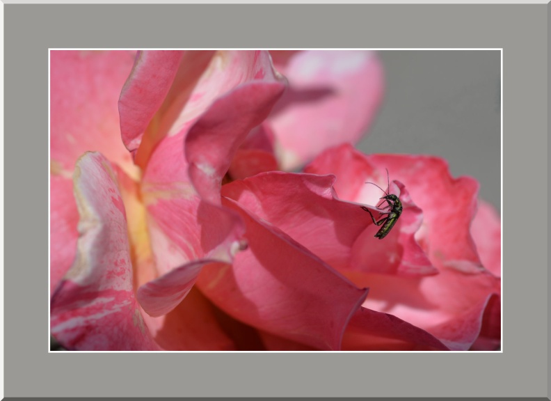 LM1903-12-2025 10-36-10 CETh810.jpg