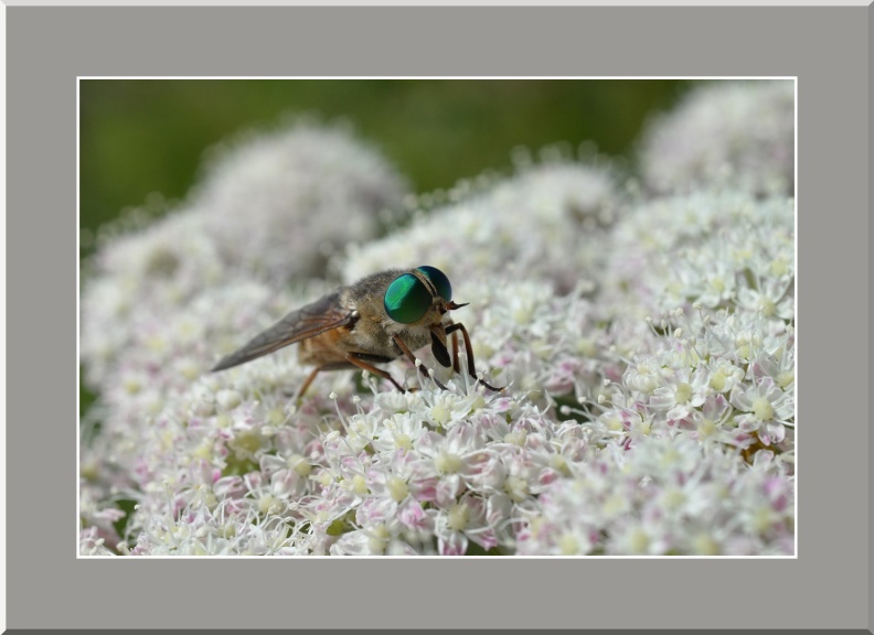 LM2703-12-2025 10-36-10 CETh810.jpg