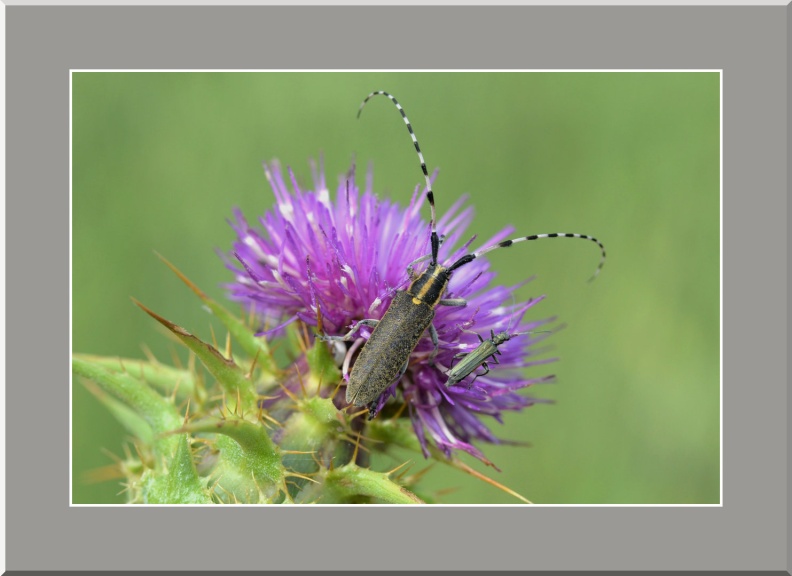 LM4003-12-2025 10-36-12 CETh810.jpg