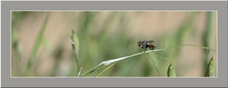 LM4103-12-2025 10-36-12 CETh810.jpg