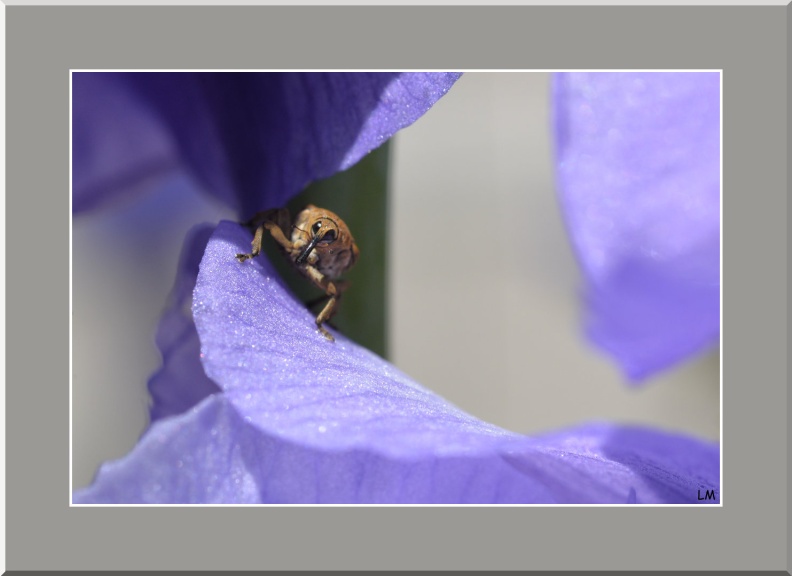 LM4503-12-2025 10-36-12 CETh810.jpg