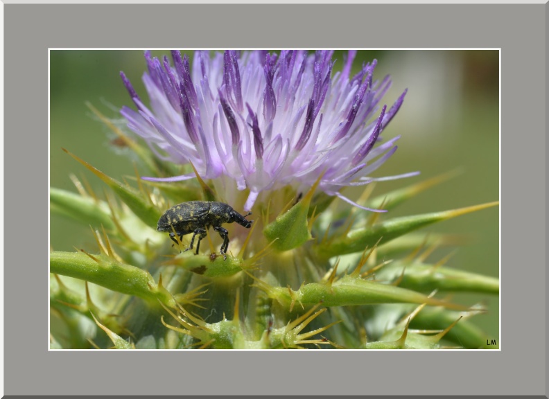 LM4803-12-2025 10-36-13 CETh810.jpg